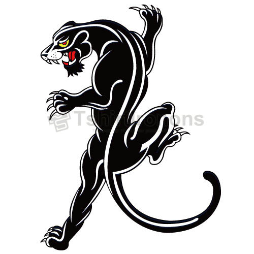 Panthers T-shirts Iron On Transfers N5561